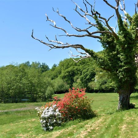 River Lodge - Cornwall Cardinham 외부 사진