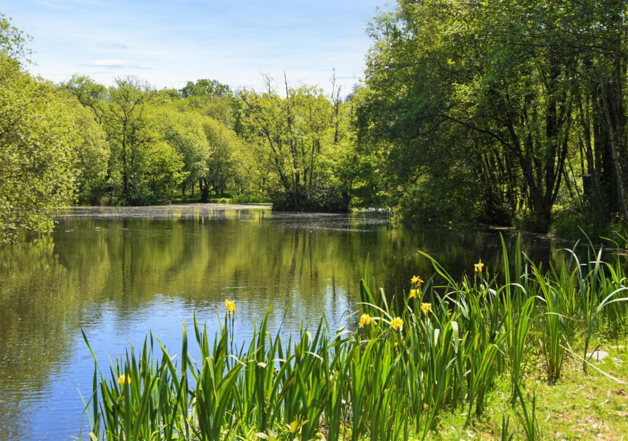 River Lodge - Cornwall Cardinham 외부 사진