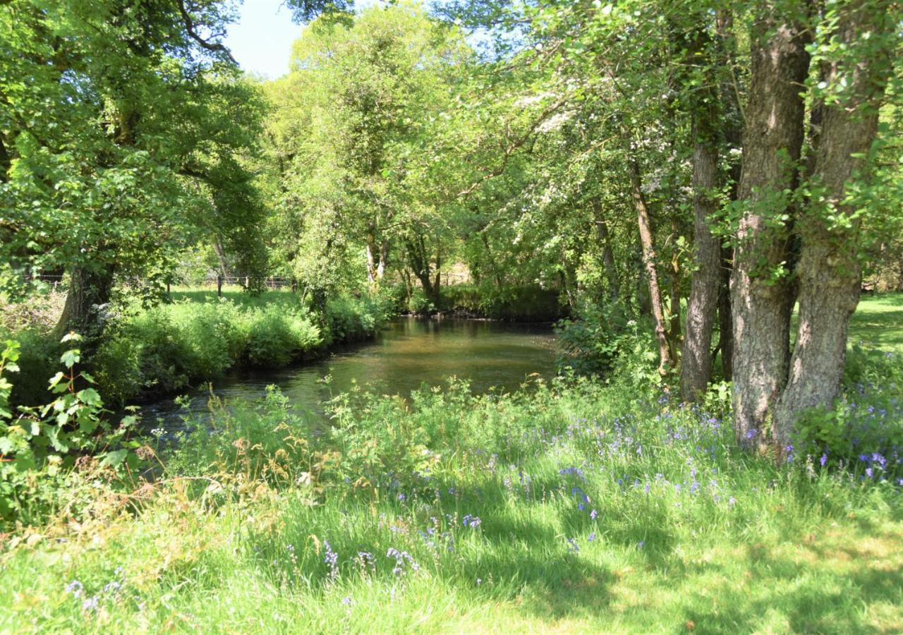 River Lodge - Cornwall Cardinham 외부 사진